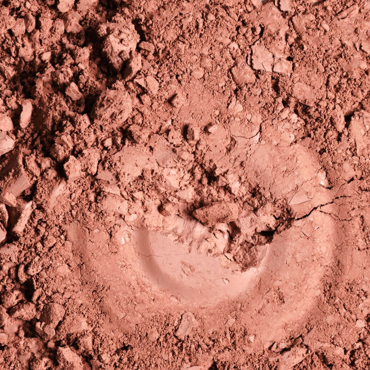 транспортная компания алматы